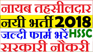 Recruitments made on the posts of Nayab Tehsildar 2018